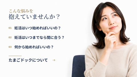 たまごドックについて